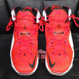 LeBron 12 heart of a lion